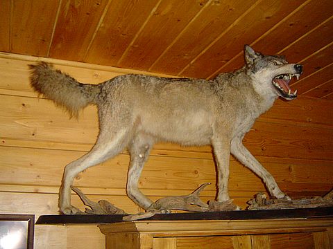 Sosz�w Wielki - karczma Lepiarz�wka