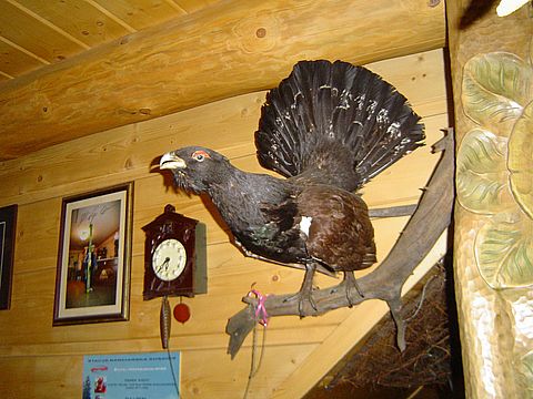 Sosz�w Wielki - karczma Lepiarz�wka