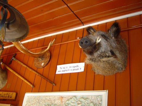 Sosz�w Wielki - schronisko