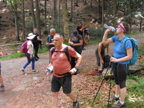 Wycieczka w Góry Bialskie s7 - PTTK Strzelin