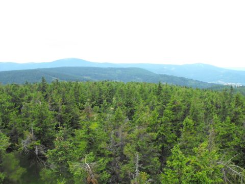 Wycieczka w Góry Bialskie s60 - PTTK Strzelin