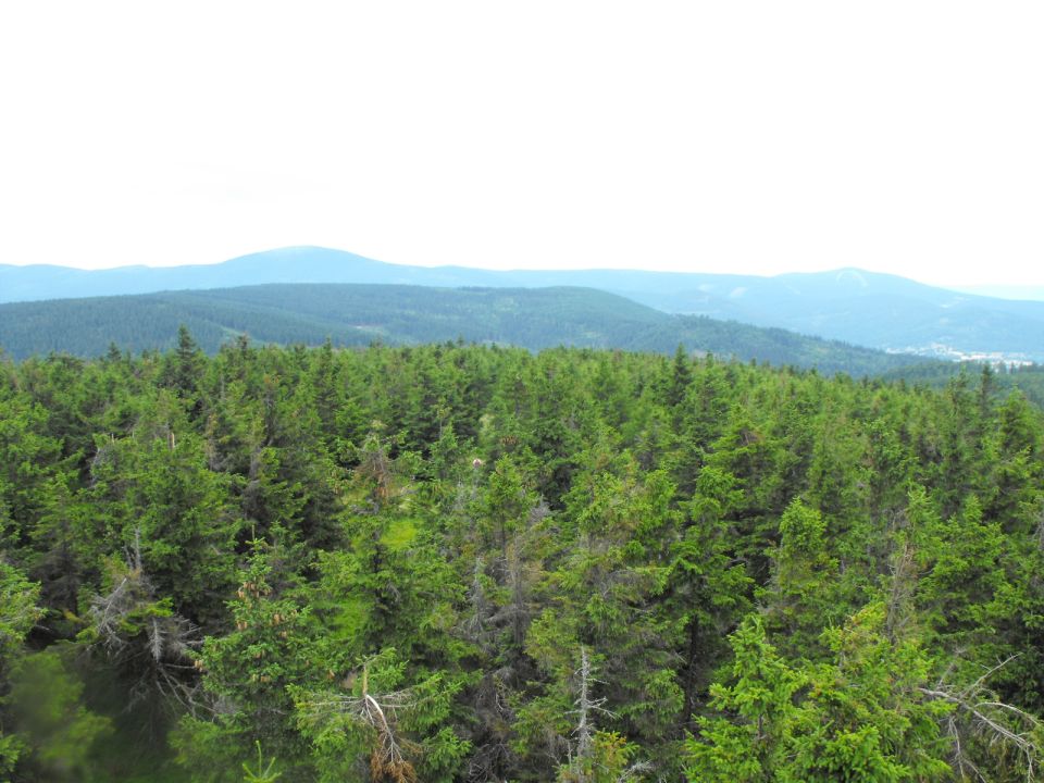 Wycieczka w Góry Bialskie s002 - PTTK Strzelin