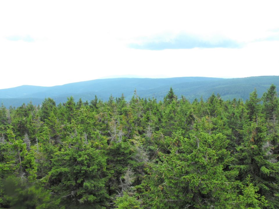 Wycieczka w Góry Bialskie s002 - PTTK Strzelin