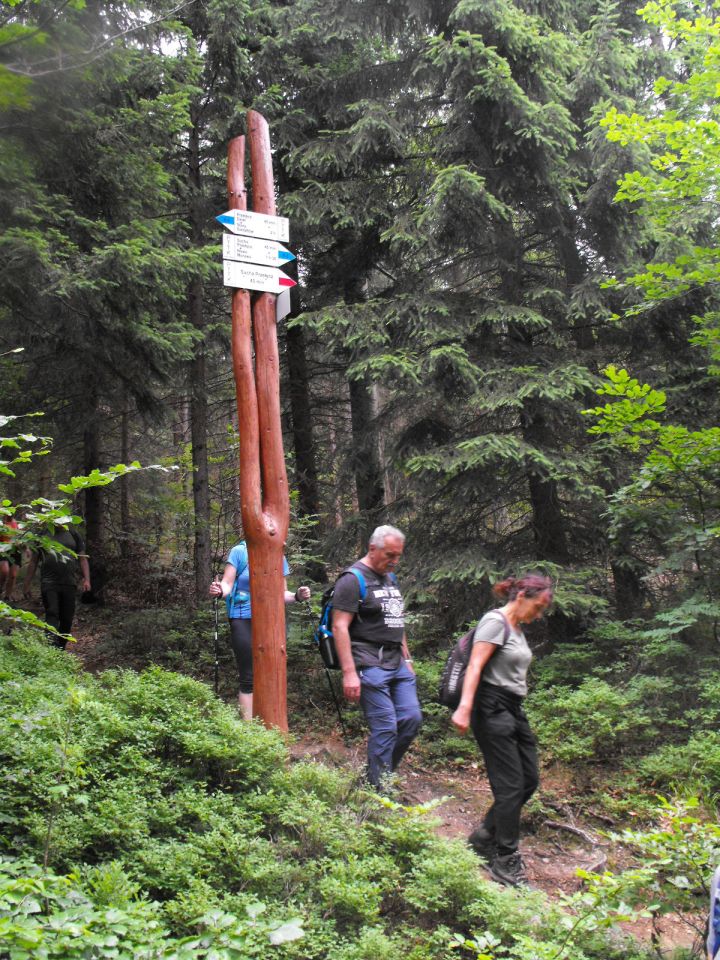 Wycieczka w Góry Bialskie s002 - PTTK Strzelin