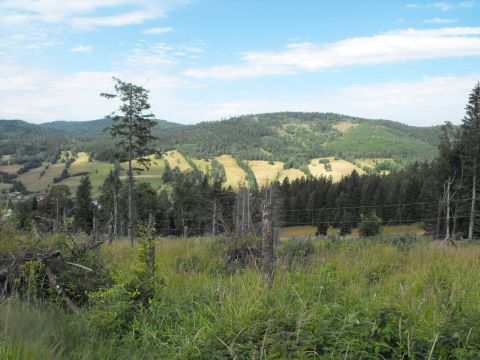 Wycieczka w Góry Bialskie s127 - PTTK Strzelin