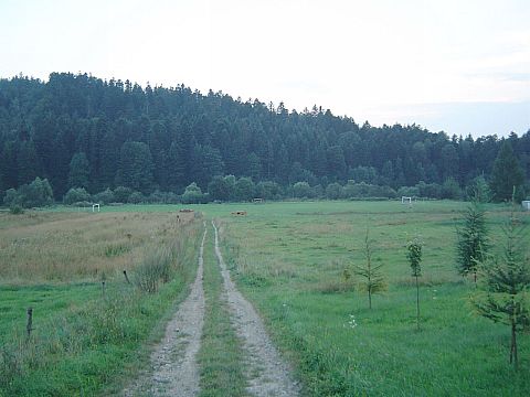 Ropienka - boisko pikarskie