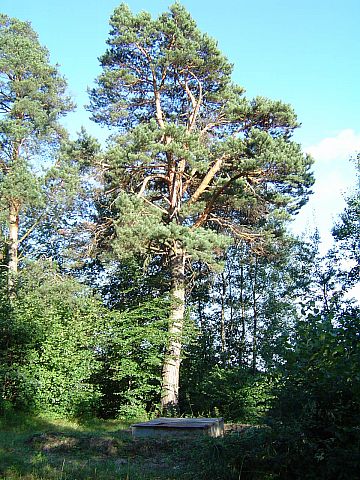 Ropienka - kopalnia ropy naftowej - Bieszczady s005 - PTTK Strzelin