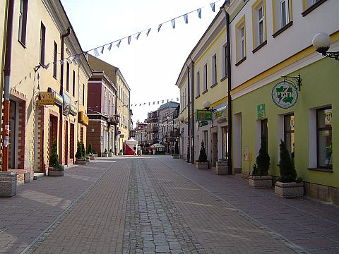 Sanok