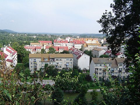 Sanok