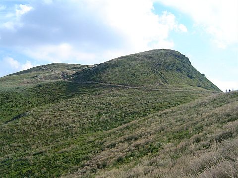 Tarnica