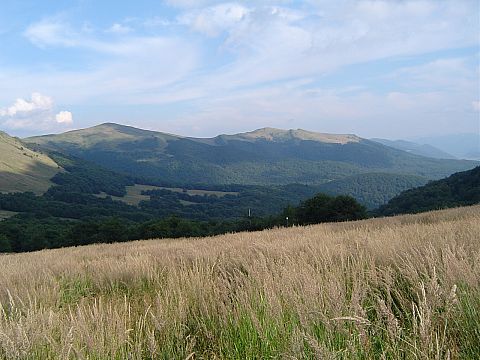 Halicz i Rozsypaniec