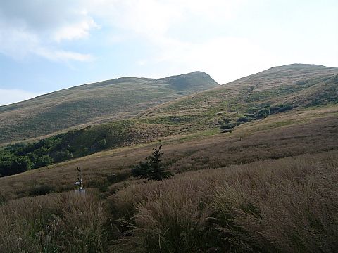 Tarnica i Szeroki Wierch