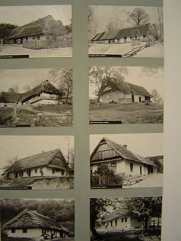 Ustrzyki Dolne - Muzeum Przyrodnicze BdPN