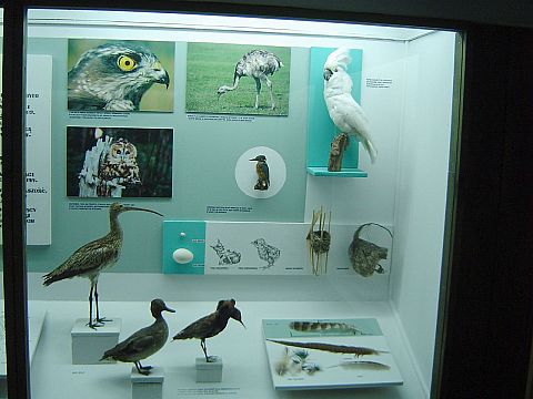 Ustrzyki Dolne - Muzeum Przyrodnicze BdPN