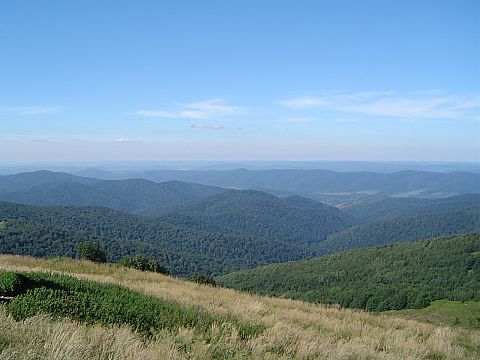 Poonina Wetliska - widok na pnoc