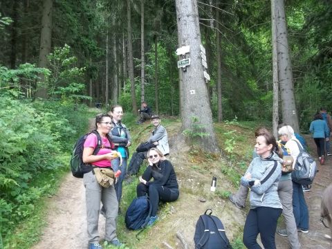 Wycieczka Teplické skály s13 - PTTK Strzelin