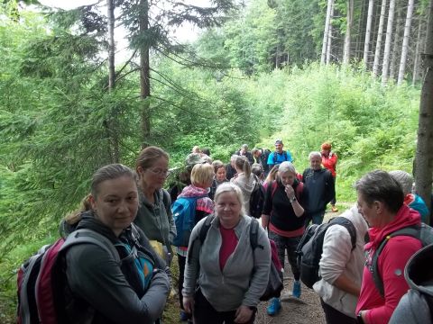 Wycieczka Teplické skály s16 - PTTK Strzelin