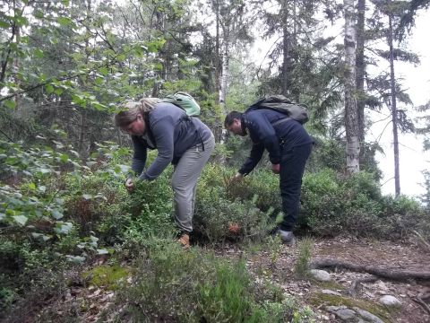 Wycieczka Teplické skály s55 - PTTK Strzelin