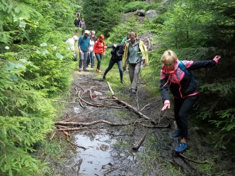 Wycieczka Teplické skály s81 - PTTK Strzelin