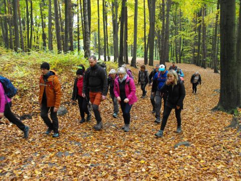 Wycieczka Broumovské stěny s9 - PTTK Strzelin