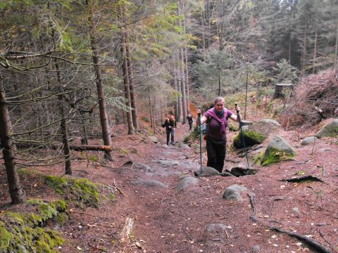 Wycieczka Broumovské stěny s14 - PTTK Strzelin