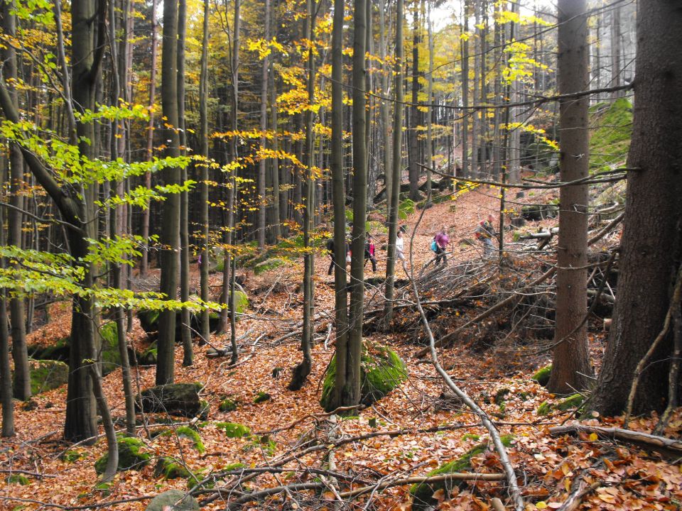 Wycieczka Broumovské stěny s002 - PTTK Strzelin