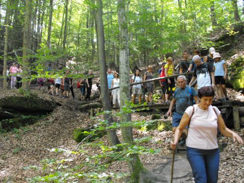 Wycieczka Broumovská vrchovina s95 - PTTK Strzelin