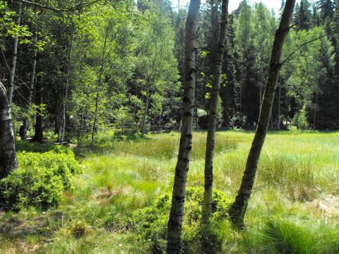 Wycieczka Broumovská vrchovina s97 - PTTK Strzelin