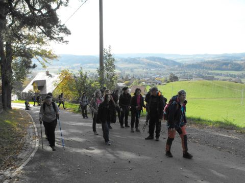Wycieczka Jestřebí hory s9 - PTTK Strzelin
