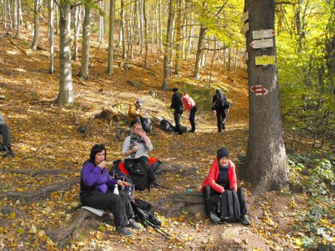 Wycieczka Jestřebí hory s17 - PTTK Strzelin