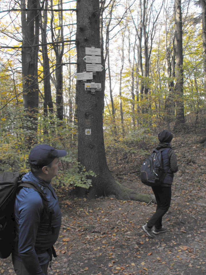 Wycieczka Jestřebí hory s002 - PTTK Strzelin