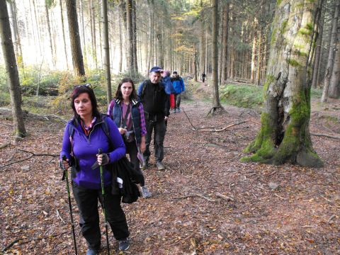 Wycieczka Jestřebí hory s49 - PTTK Strzelin