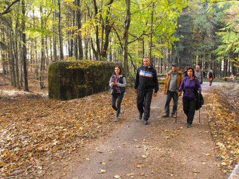 Wycieczka Jestřebí hory s70 - PTTK Strzelin
