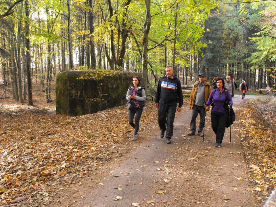 Wycieczka Jestřebí hory s002 - PTTK Strzelin