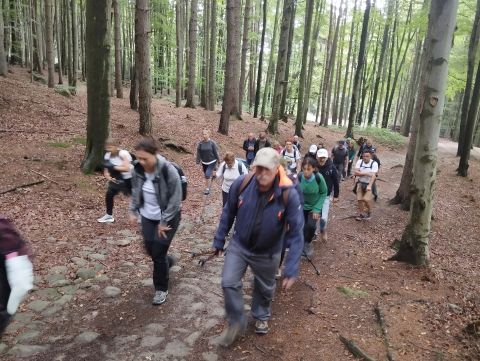 Wycieczka Broumovské stěny s9 - PTTK Strzelin