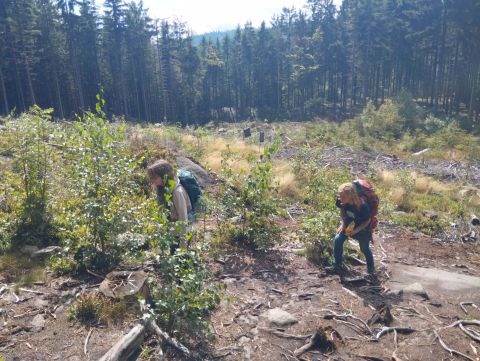 Wycieczka Broumovské stěny s62 - PTTK Strzelin
