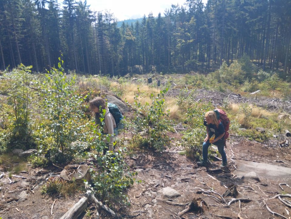 Wycieczka Broumovské stěny s002 - PTTK Strzelin