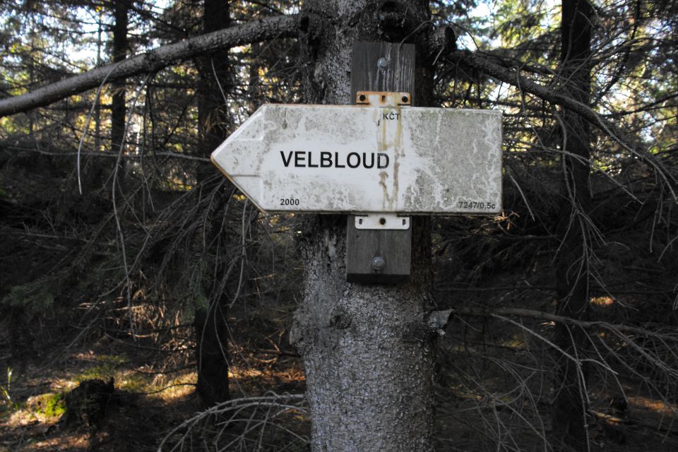 Broumovské stěny Božanovský Špičák s003 - PTTK Strzelin