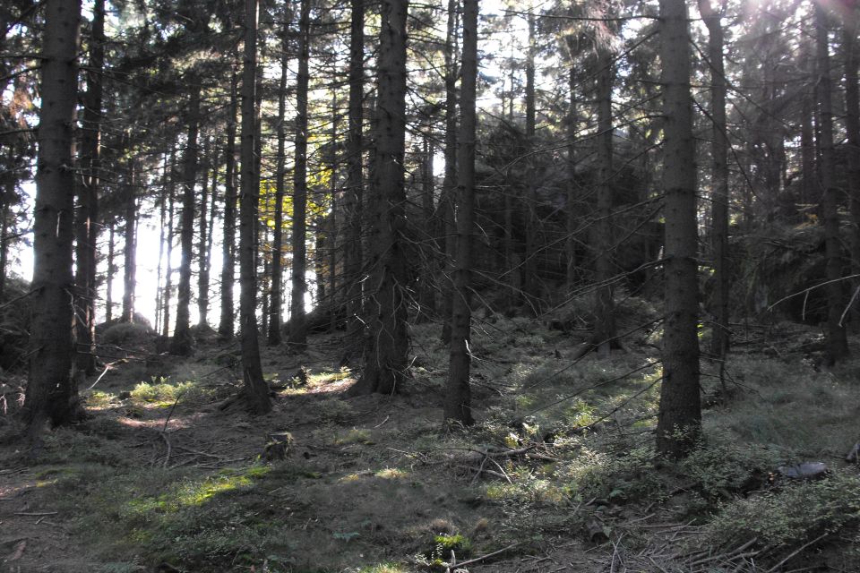 Broumovské stěny Božanovský Špičák s003 - PTTK Strzelin