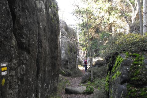 Božanovský Špičák Broumovské stěny s19 - PTTK Strzelin