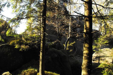 Božanovský Špičák Broumovské stěny s22 - PTTK Strzelin