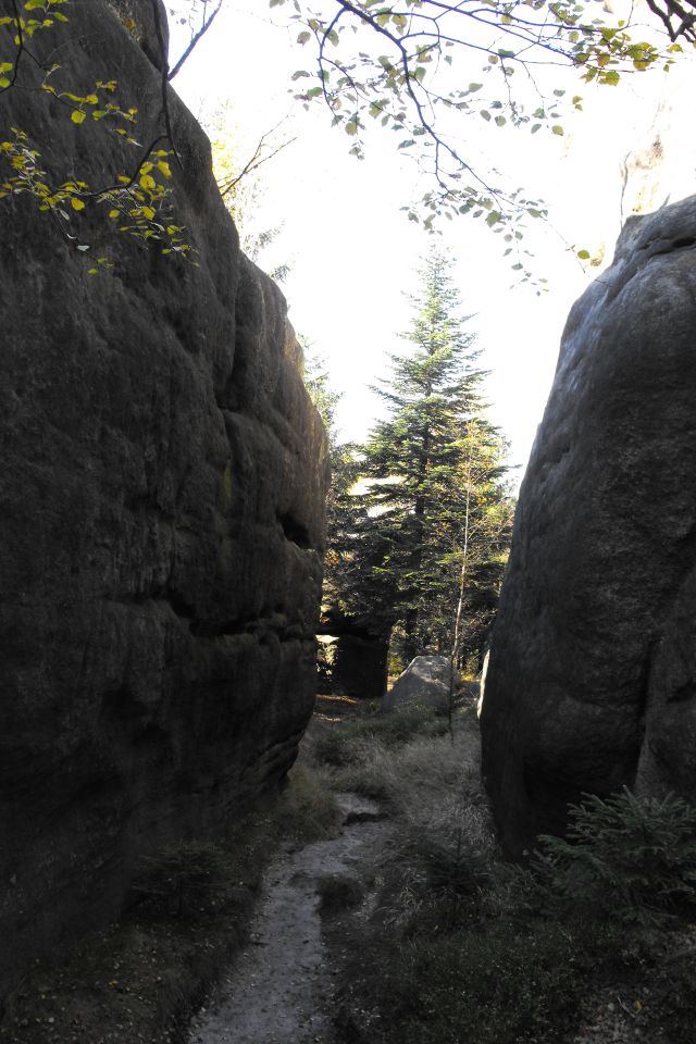 Broumovské stěny Božanovský Špičák s003 - PTTK Strzelin