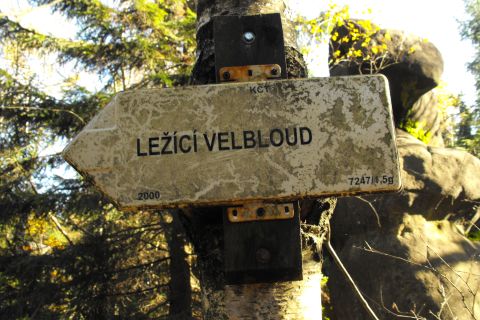 Božanovský Špičák Broumovské stěny s36 - PTTK Strzelin