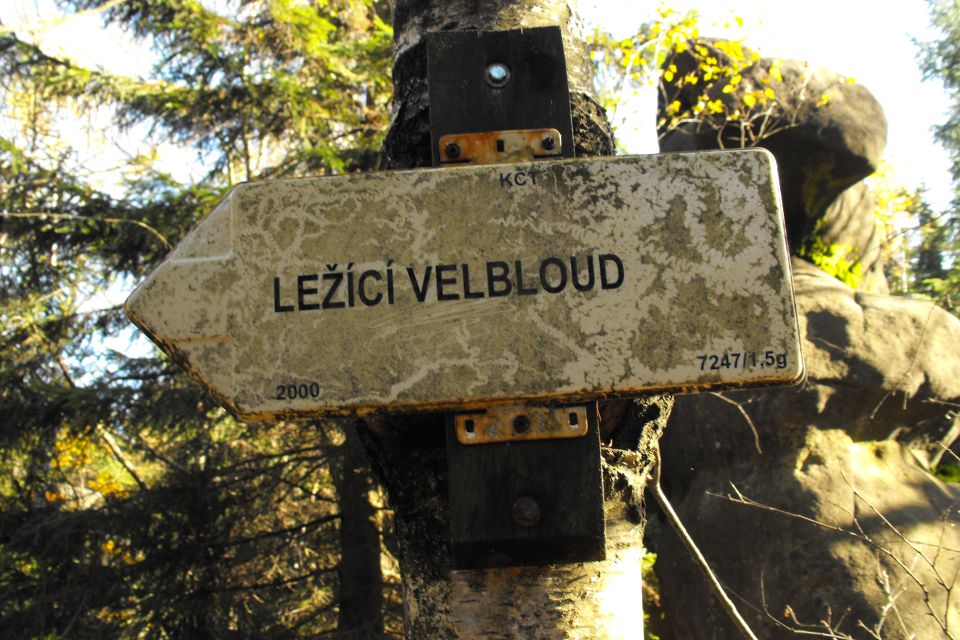 Broumovské stěny Božanovský Špičák s003 - PTTK Strzelin