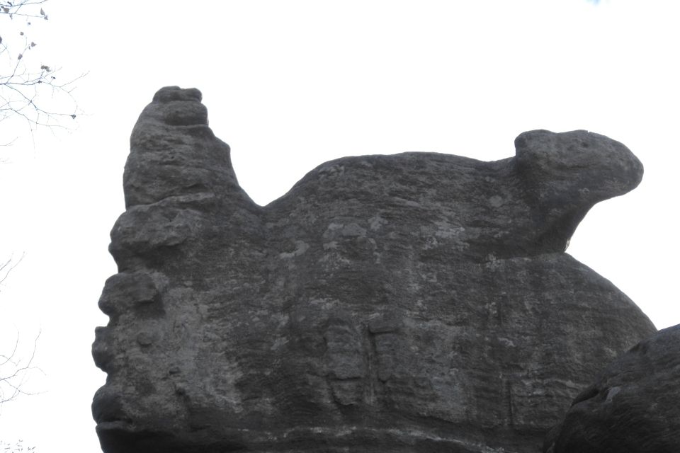 Broumovské stěny Božanovský Špičák s003 - PTTK Strzelin