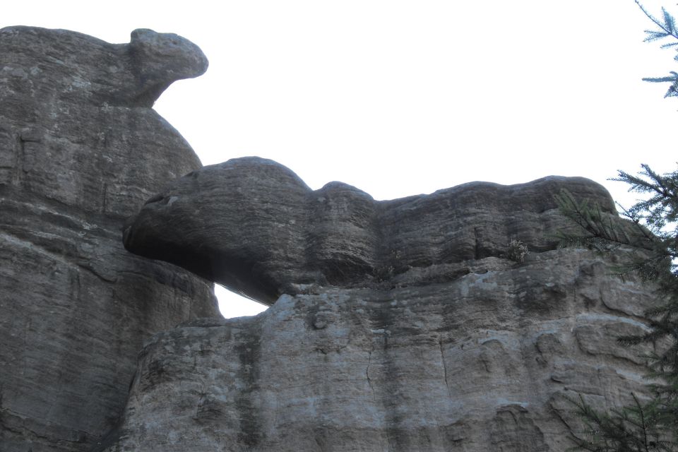 Broumovské stěny Božanovský Špičák s003 - PTTK Strzelin