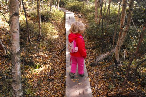 Koruna Broumovské stěny s4 - PTTK Strzelin