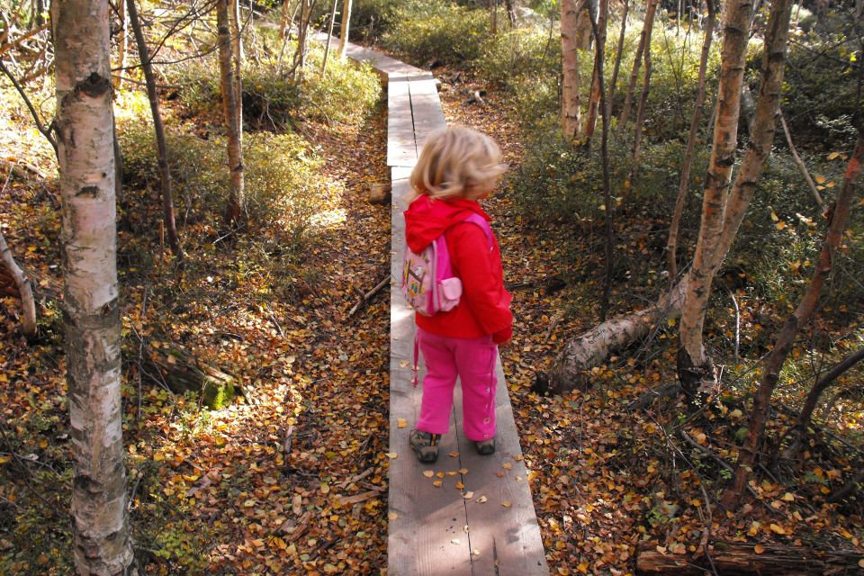 Broumovské stěny Koruna s003 - PTTK Strzelin