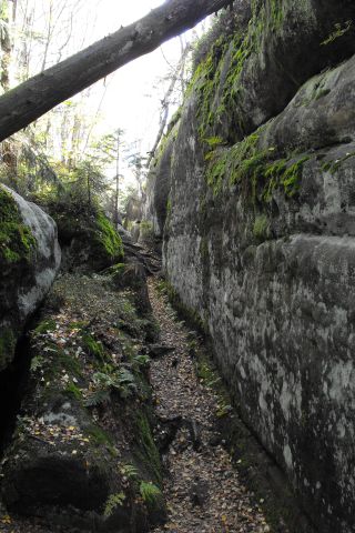Koruna Broumovské stěny s7 - PTTK Strzelin