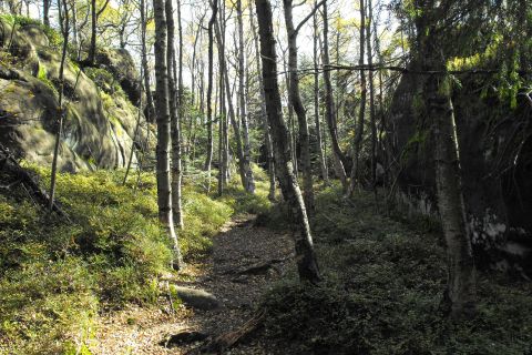 Koruna Broumovské stěny s11 - PTTK Strzelin